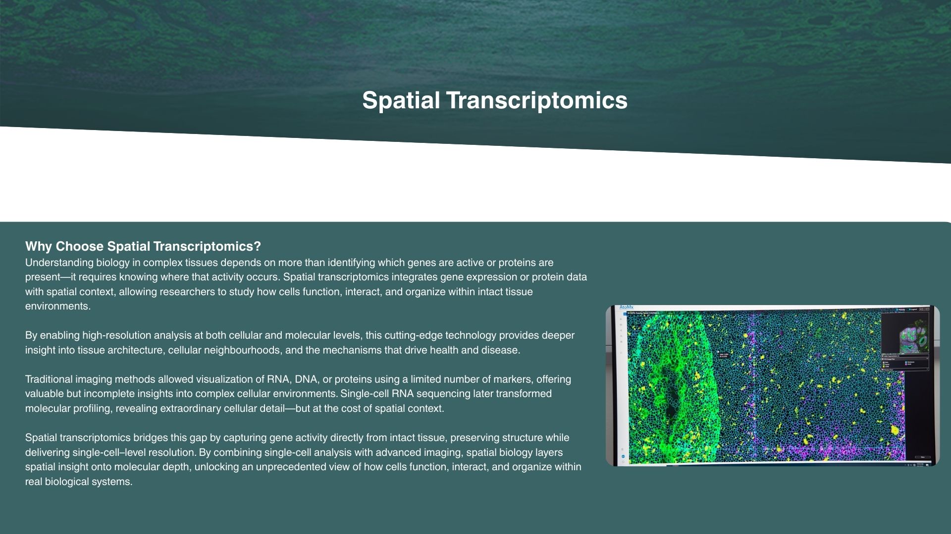 Spatial Transcriptomics Computer Background Spatial Transcriptomics
